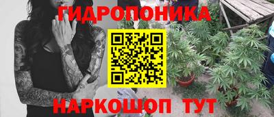 сатива Волгодонск